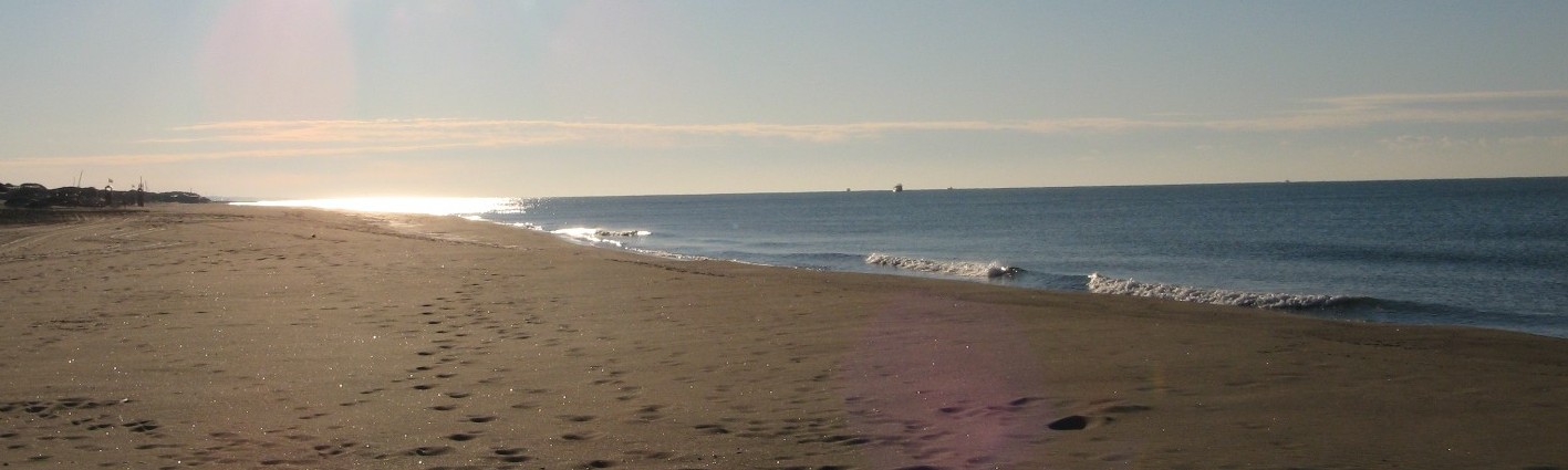 Come abbiamo trascorso splendide giornate; incontro 2007 NM